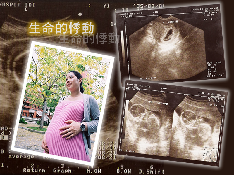 blog_life_20-04_pregnancy